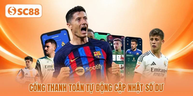 Cổng thanh toán tự động cập nhật số dư Cổng thanh toán tự động cập nhật số dư